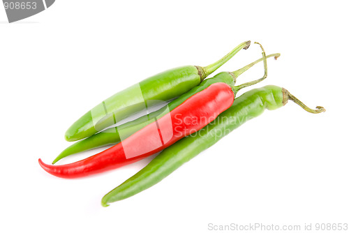 Image of Color chilli peppers