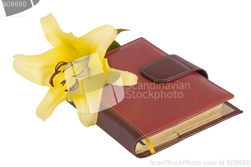 Image of blossom yellow lily flower and notebook