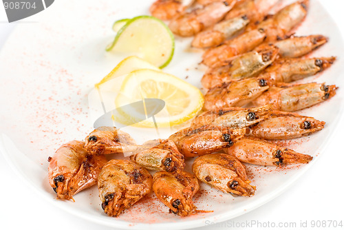 Image of shrimps