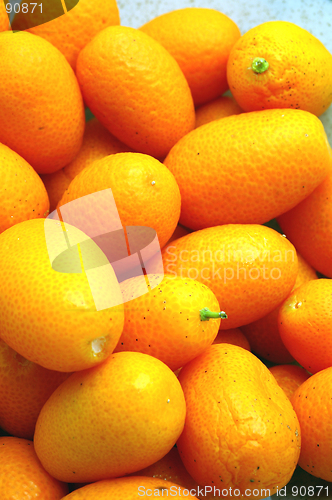 Image of kumquats