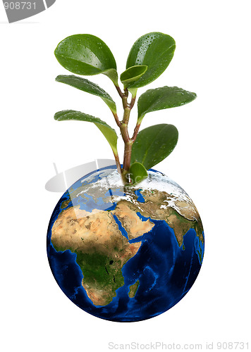 Image of Earth planet with earth