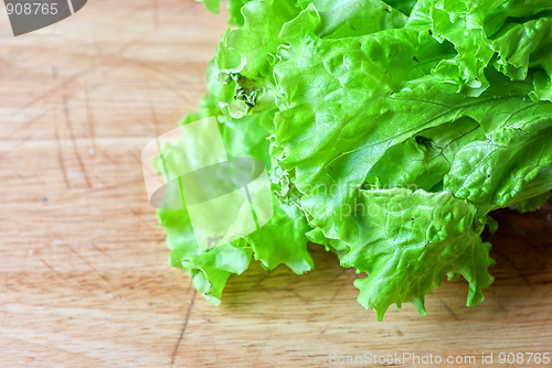 Image of lettuce