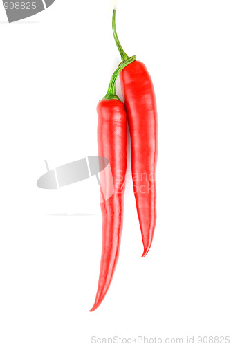 Image of spicy red chilli peppers