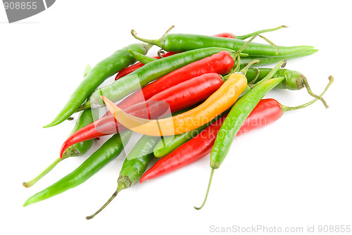 Image of Color chilli peppers