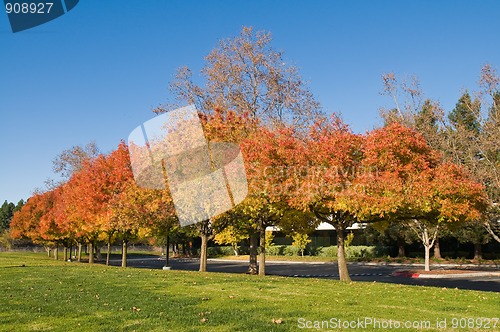 Image of Autumn colors