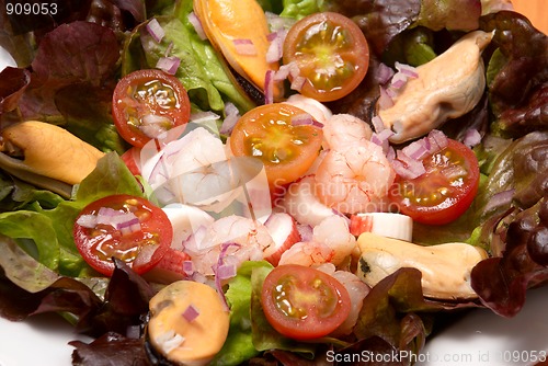 Image of Shrimp salad