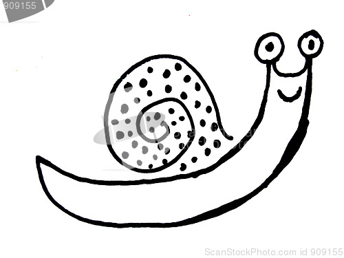 Image of snail