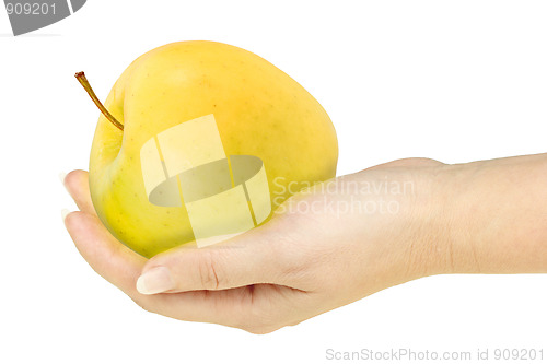 Image of Single yellow apple in a hand of woman