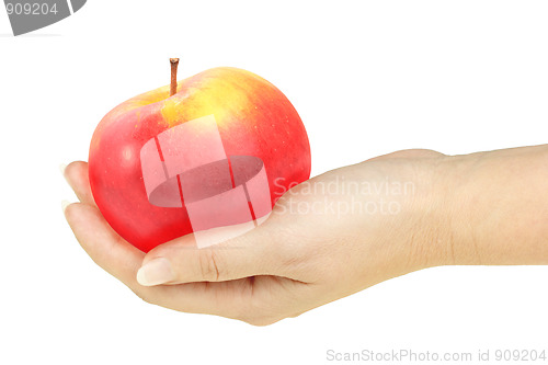 Image of Single red apple in a hand of woman