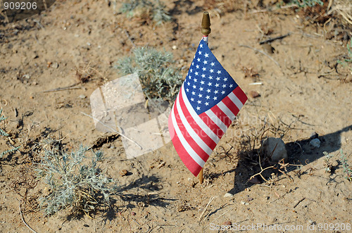 Image of US Flag in the Desert