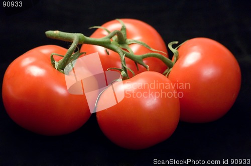 Image of A bunch of ripe tomatoes on the vine.