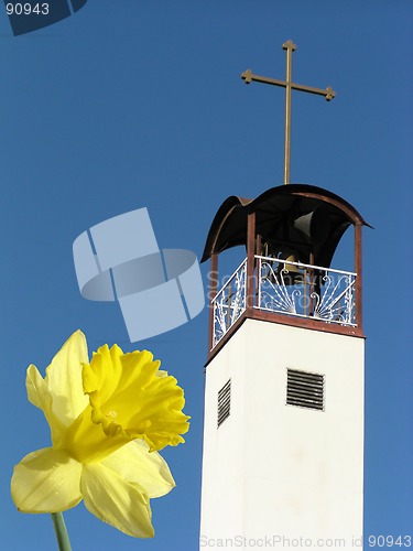 Image of easter daffodil and belltower