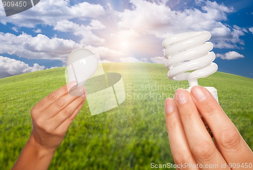 Image of Female Hands Holding Energy Saving and Regular Light Bulbs 