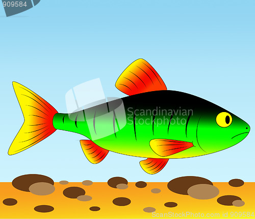 Image of colorful fish