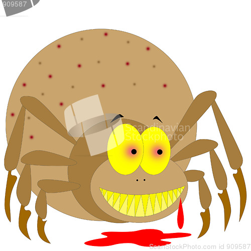 Image of spider