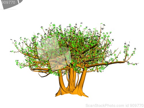 Image of Tree isolated on white