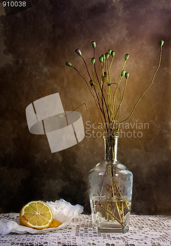 Image of Still Life