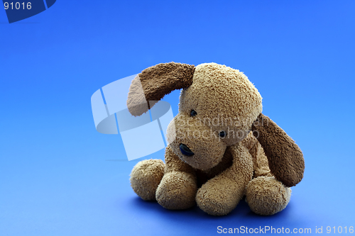 Image of Dog toy