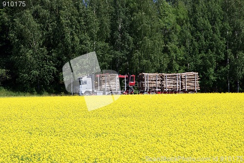 Image of Logging Truck and Rapeseed Field