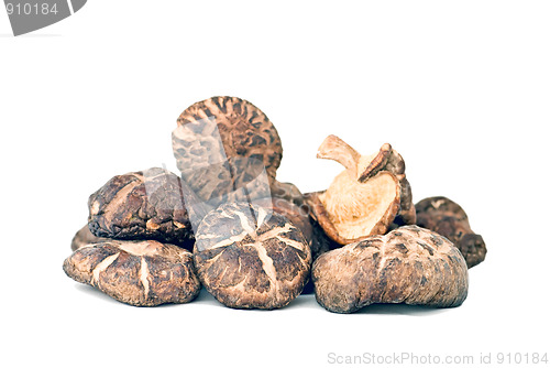 Image of Shiitake mushrooms