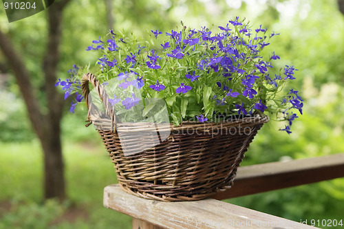 Image of Basket with flowers