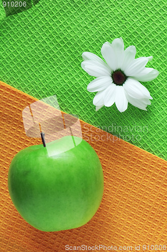 Image of White chrysanthemum and green apple