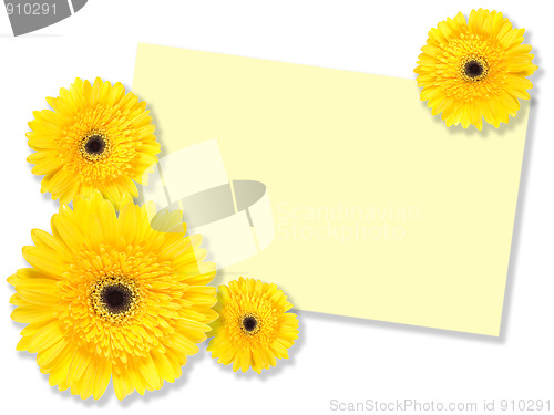 Image of Yellow flowers with message-card