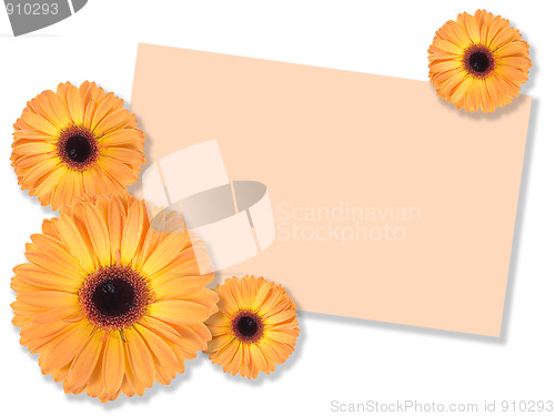 Image of One orange flower with message-card