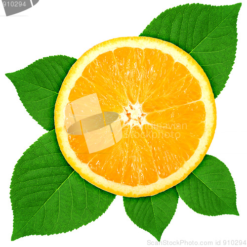 Image of Single cross section of orange with green leaf