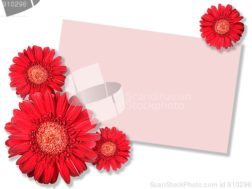 Image of One red flower with message-card