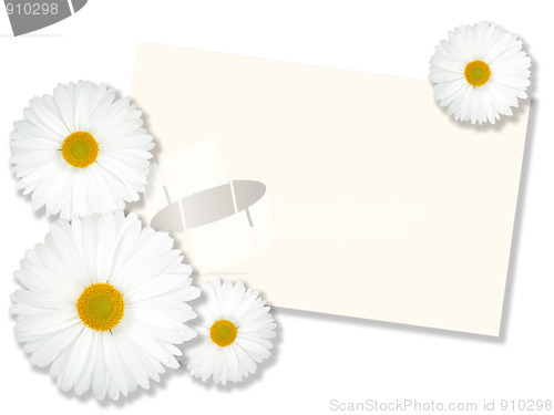 Image of White flowers with message-card