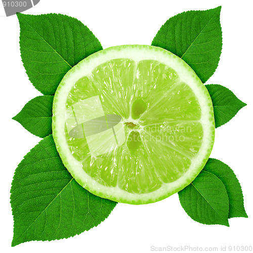 Image of Single cross section of lime with green leaf