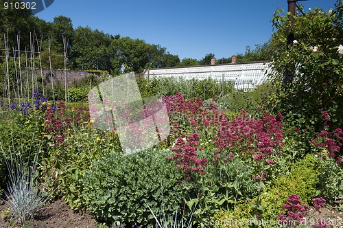 Image of Victorian Walled Garden