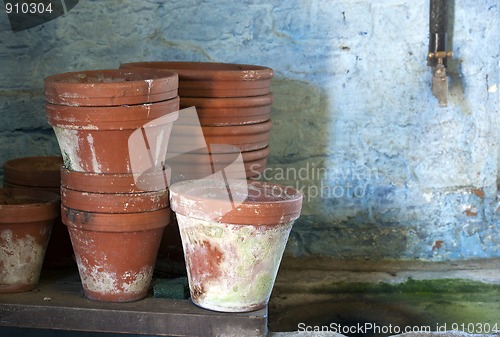 Image of Plant Pots