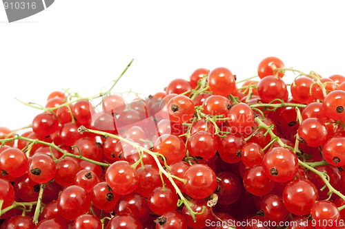 Image of Red currant