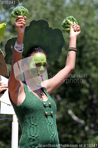 Image of Ojai 4th of July Parade 2010