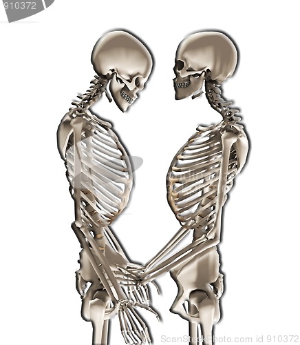 Image of Skeletons In Love