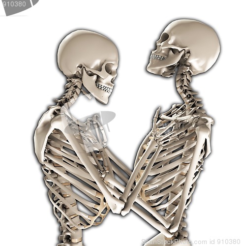 Image of Tender Skeletons