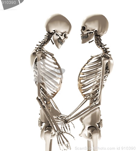 Image of Skeletons In Love