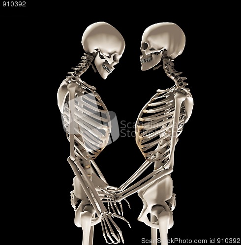 Image of Skeletons In Love