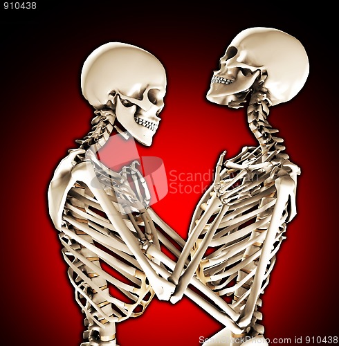 Image of Tender Skeletons