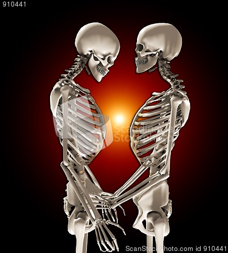 Image of Skeletons In Love