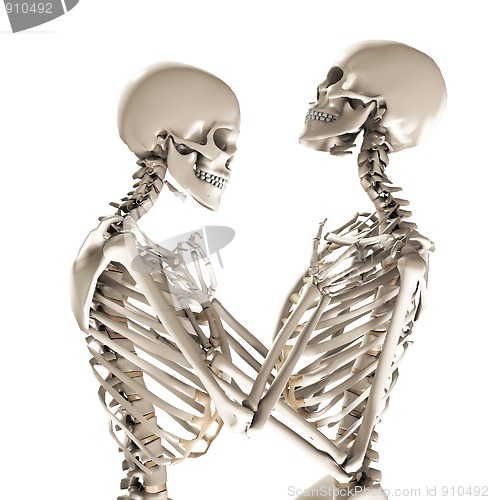 Image of Tender Skeletons