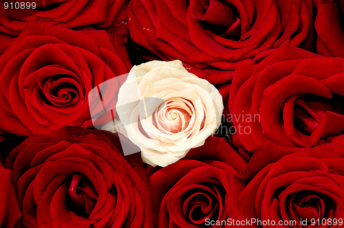 Image of Rose bouquet