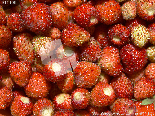 Image of Strawberries