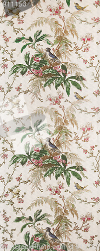 Image of bird wallpaper