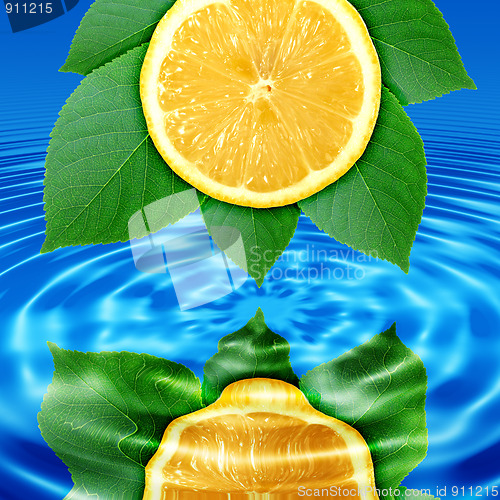 Image of Reflect lemon-slice and leaf in water