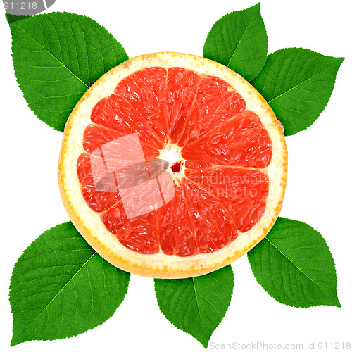 Image of Single cross section of grape-fruit with green leaf
