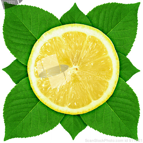 Image of Single cross section of lemon with green leaf