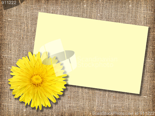 Image of One yellow dandelion-flower with message-card